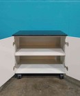 30  Rolling Lab Cabinet W shelf Double Door  sku 115132 