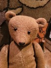 Antique Teddy Bear 1920 30  Rare Worsted Wool Shoe Button Eyes Hump Jointed 20 