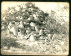 Home Of The Rattlers Escondido California C  1900 Photo Rattlesnake Den