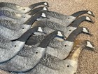 Vintage lot Of 9 Carry Lite Canadian Goose Paper fiberboard Folding Decoy decoys