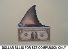 Fridge Fun Refrigerator Magnet Jaws Movie Great White Shark Fin - Fish Die-cut