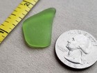 Genuine Beach Sea Glass Surf Tumbled Lime Green Blue Ocean Frosted Pendant L01