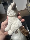 7    Gund Grumpy Cat Stuffed Animal Plush
