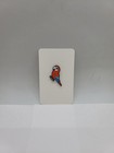 Cartoon Green-winged Macaw Red Parrot Bird Enamel Lapel Pin