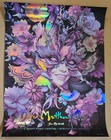 Dave Matthews Band Rainbow Foil Ae Noblesville Poster Nc Winters Dmb Deer Creek