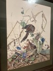 Vintage Wood Framed Signed Sallie Ellington Middleton Print    mourning Doves    Art