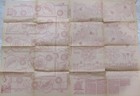 Vtg 40s Workbasket 2-924 Embroidery Transfer Pattern Pineapple Poppy Linen Motif