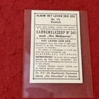 1940s-50s Haarlem Steam Soap    life Of The Sea    Fin Whale Trade Card  112   Ex