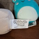 Squishville By Squishmallows Mini Plush Mixed Lot Of 6  Mini  2023