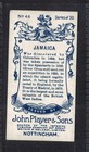 Jamaica - 110   Year Old English Tobacco Card   46