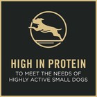 Purina Pro Plan Small Breed Dry Dog Food Shredded Blend Chicken   Rice 6 Lb