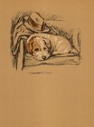 1937 Antique Sealyham Terrier Print Wall Art Decor Lucy Dawson Dog Art 5597q