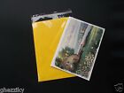 1000 A2  4 5 8 X 5 3 4 Clear Resealable Cello Bag Envelope Cellophane Sleeve