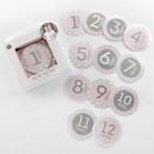 My First Milestone Baby Month Stickers - Pink - Baby Shower Gift