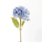 Hydrangea Stems 18   Set Of 6