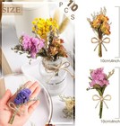 Mini Dried Flower Bouquet  Wildflower Decor  10 Pcs For Crafts Or Photo Props