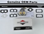 Genuine Oem Briggs   Stratton 791230  Carburetor 699709 499804