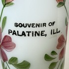 Palatine  Illinois Il  Antique Milk Glass Souvenir Painted Floral Cup