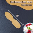 Wooden Wrapped Taster Ice Cream Paddle Spoon  Paper Wrapped  3  Length