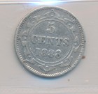 Newfoundland Canada Victoria 5 Cents 1888 Obverse 3 - Iccs Vf20