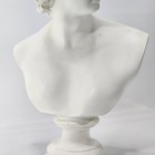 Greek Apollo 12  Cast Resin Bust Statue Head Figurine Sculpture Figure Roman God