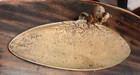 Antique Brass Or Bronze Squirrel Trinket Dish Dresser Tray
