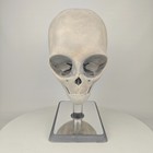 Alien Skull Grey Alien Ct Scan Level Of Detail Full Size Replica On Stand