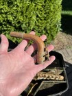 Vintage 1951 Buescher Aristocrat Big B Baritone Saxophone Bari W  Original Case