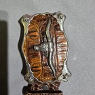Embossed Belt Mens 36 Brown Longhorn Trophy Buckle Westerncore  Cowboy 