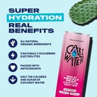 Caliwater Organic Nopal Cactus Water Variety Pack 12 Fl Oz 4 Cans