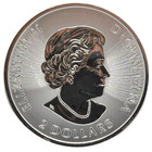 2016 Canada 1 2 Ozt Fine Silver 9999 Bald Eagle Bird Rcm  2 Bullion Coin Round