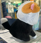 Grumpy Cat In A Guinea Pig Hat Floral Frolic Stuffed Plush Feline Disguise Love