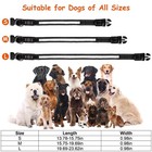Light Up Dog Collars Rechargeable Led Dog Collar 9 Light Color For Night Walking