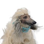 Vintage Mattel Beauty Barbie 1979 Afghan Hound Barbie s Dog W  Collar