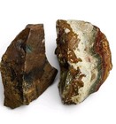 Picture Jasper Rough Pieces 161 7 Grams  Lapidary Or Display  2 Piece Lot