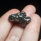 Meteorite  Campo Del Cielo Authentic Iron-nickel Specimen  13 3 Grams 