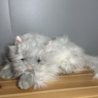 Ty Classic Bangles The Cat 12  Gray Beanbag Plush 2004
