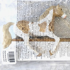 Schleich Paint Horse Mare New In Bag