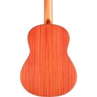 Cordoba Protege C1m 1 2 Size Nylon-string Classical Acoustic Guitar Natural