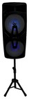 Technical Pro Dual 8  Rechargeable Karaoke Machine System W stand wireless Mic