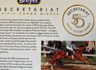 Secretariat Breyer 50th Anniversary Commemorative Edition Figurine New In Box