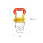 Baby Fruit Feeder fresh Food Feeder Pacifier  1 Pack - Infant Teething Feeders