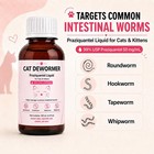 Tapeworm Dewormer For Cats  Supports Removal Of Common Intestinal Worms For Roun