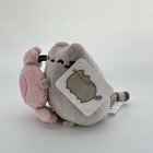 New With Tags Pusheen The Cat Holding Candy 5    Valentines Day Plush Gund