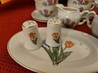 Childs Tea Set  24 Piece s   Made In Japan  Tulip Design 