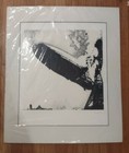 Led Zeppelin 1st Album Cover Lithograph By George Hardie Matted Coa Nos 