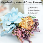 Mini Dried Flower Bouquet Wildflower Decor 13 Pcs For Crafts Or Photo Props