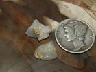 2 Natural Gold Quartz Specimens  7 Gram Oregon Blue Mtns Gold