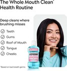 Listerine Gum Therapy Antigingivitis Mouthwash Glacier Mint 33 8 Oz 1l