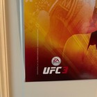 Ufc 231 Holloway Ortega Shevchenko Joanna Jedrzejczyk Promo Fight Poster 18 X 24